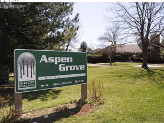 Aspen Grove