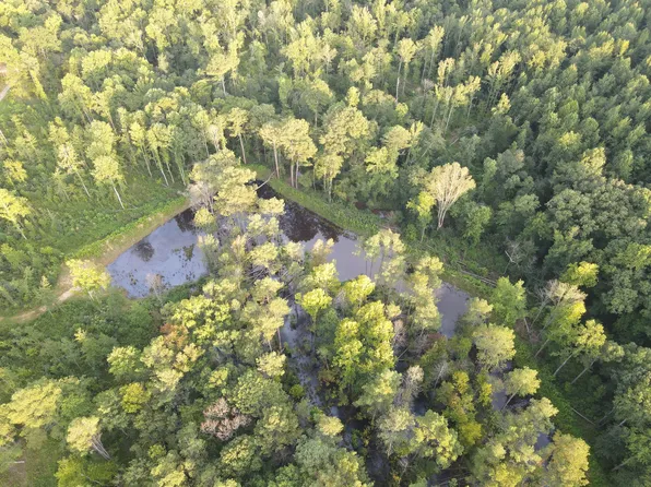 6 Copper Spring Rd Lot 6, Springville, TN 38256