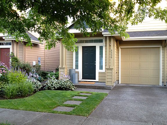 Front yard