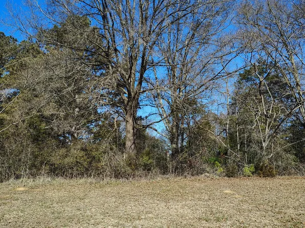 0 Flint Hill Rd, Aragon, GA 30104