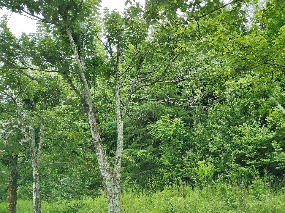 2nd image of 0 Hidden Valley Rd