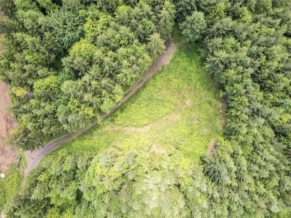 0 Lot C S Goble Creek Road, Kelso, WA 98626
