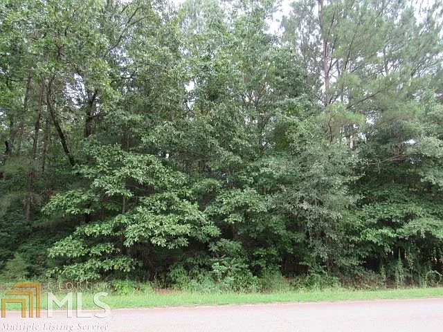 289 Mangham Rd photo 1