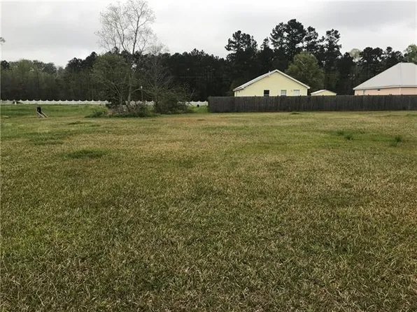 26327 Indian Run Dr, Springfield, LA 70462