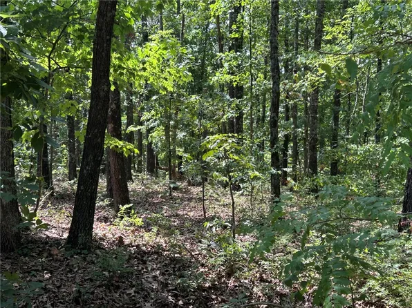 0 Cranbrook Ln #21, Bella Vista, AR 72714
