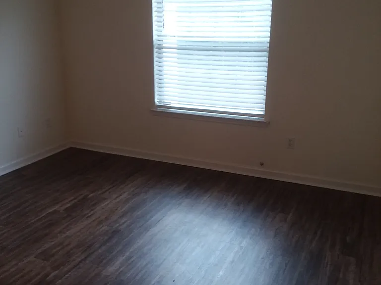 2803 Saw Palmetto Ln — Photo 6