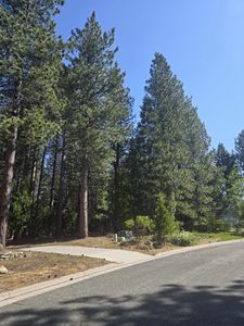 Unit #3-LOT 21, Mount Shasta, CA, 96067