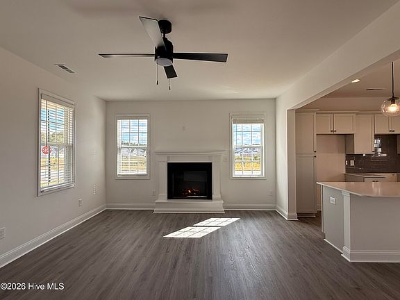 4th image of 133 Laborde Lane