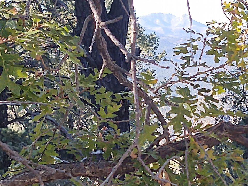 2nd image of 264 Crown Dr