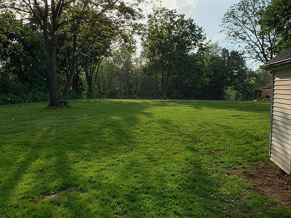 Backyard view 2