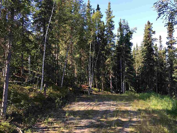 2nd image of 2970 Chena Ester Ditch Rd
