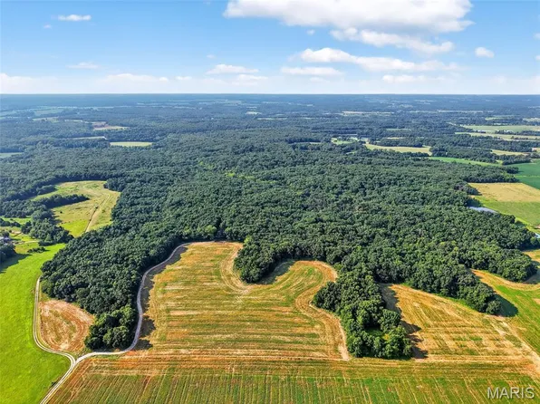 116/- Acres State Hwy, Bellflower, MO 63333