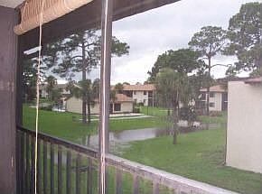 View from the Porch