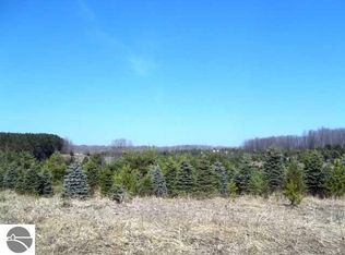 0 E 14th Rd, Manton, MI 49663