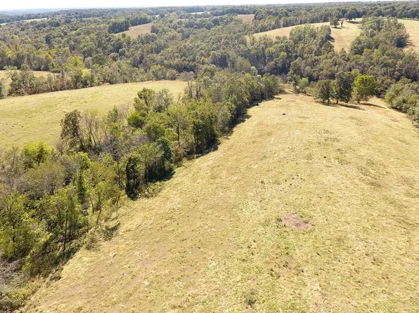 72 Acres Carlin Ridge Road, Pineville, MO 64856