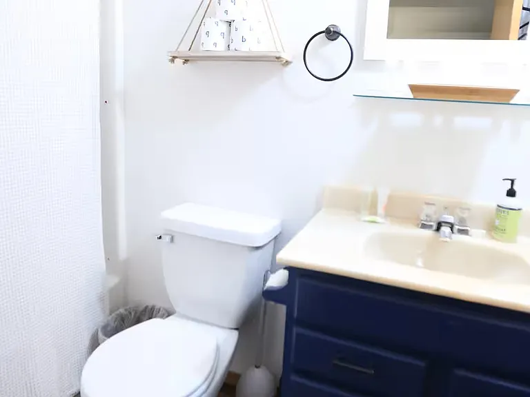 Master bath and shower