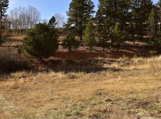 34 Valley Rd, Divide, CO 80814