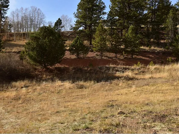 34 Valley Rd, Divide, CO 80814