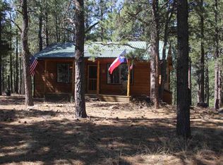 102 Road 9, Eagle Nest, NM 87718