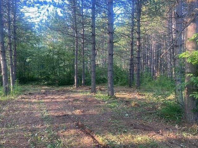 2nd image of 53XX Bergstopp Ln