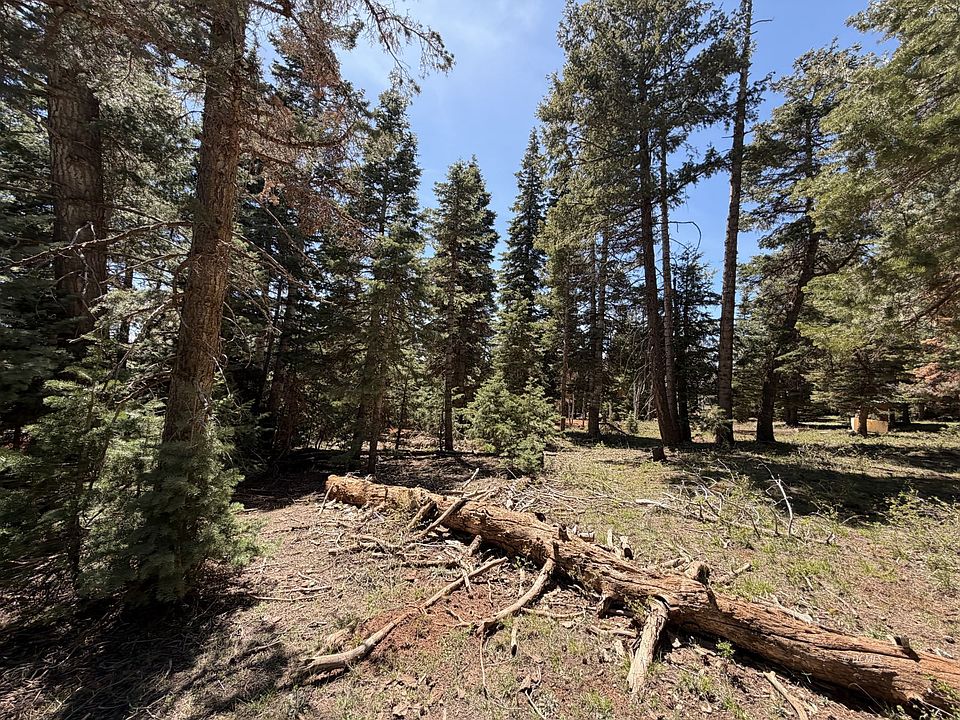 1st image of 79 W Berry Loop