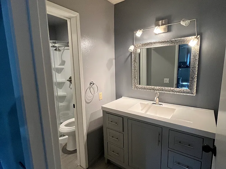 Downstairs bathroom/ Sink