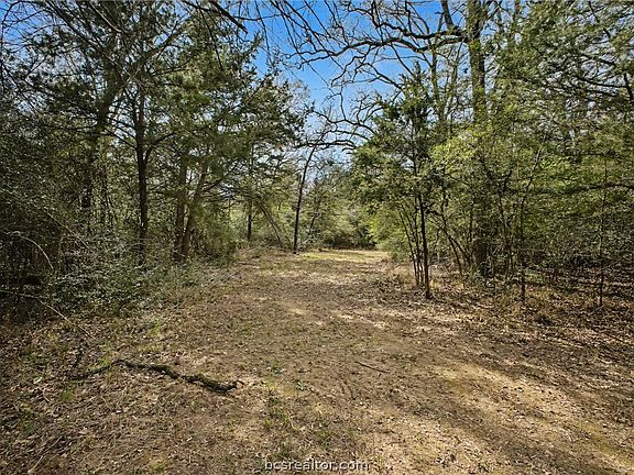 5th image of Sawmill Rd