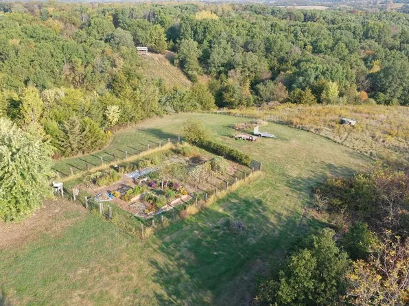 43464 State Highway Z, Livonia, MO 63551