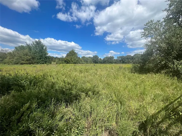 0 Ripley Bg #1, Fairdealing, MO 63939