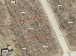 1006 Shadow Wood Dr #59, Morris, IL 60450