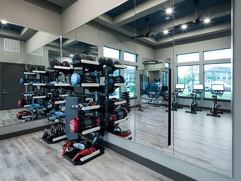 Virtual Fitness with The MirrorHome Exercise System