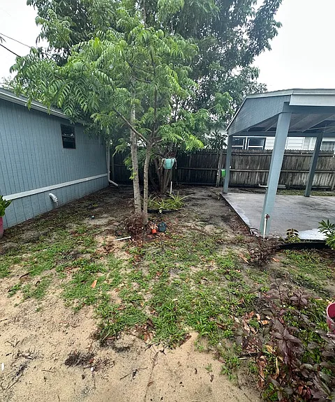 back yard