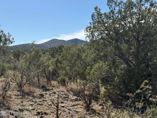 N Spotted Dog Trl, Chino Valley, AZ 86323
