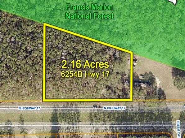 6254 N 17th Hwy Lot B, Awendaw, SC 29429