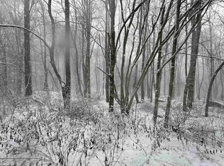 9 Bobolink Dr, Terra Alta, WV 26764