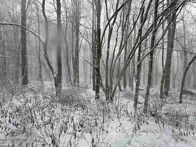 9 Bobolink Dr, Terra Alta, WV, 26764