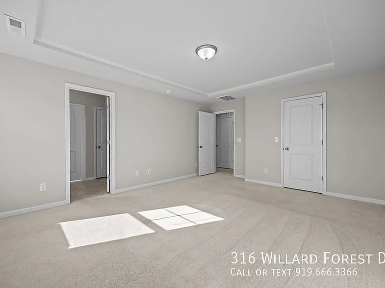 316 Willard Forest Dr — Photo 37