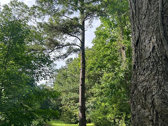 5th image of 648 Society Rd