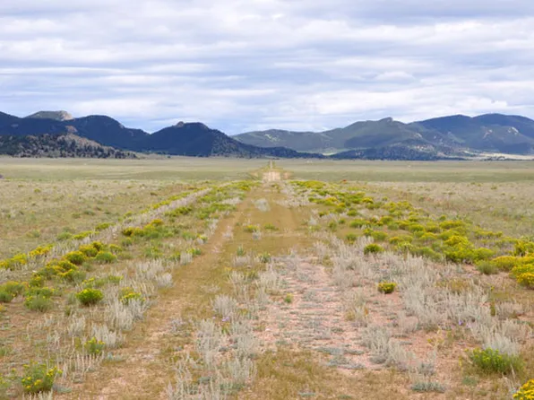 4218 Mesa Rd, Hartsel, CO 80449