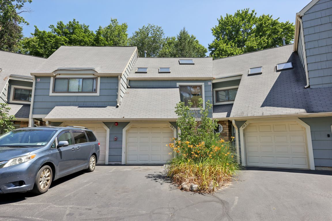 Treetop Cir-S2506-001.jpg