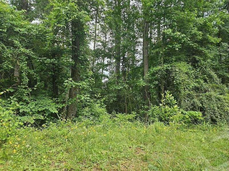 2nd image of 2435 Hi Roc Cir NE #362