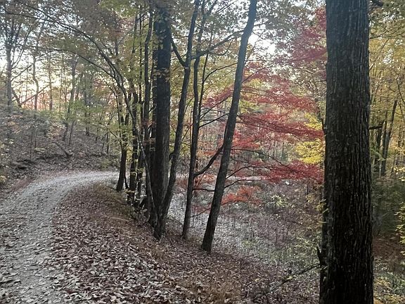 2nd image of 2742 Black Mountain Rd Lot 7