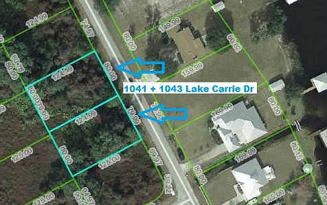 1st image of 1041 Lake Carrie Dr