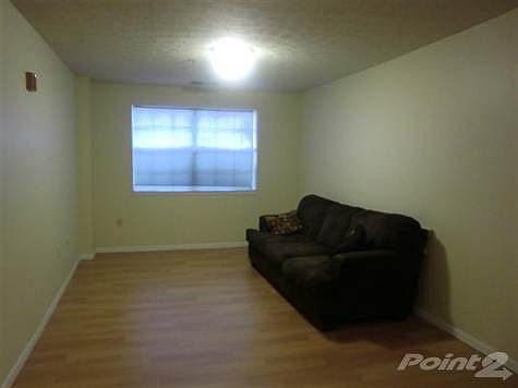 Living Room with laminate flooring