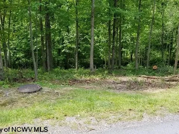 209 Woodside Ln, Bridgeport, WV 26330