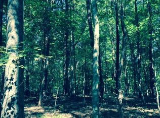 0 Damon Rd, Schuyler, VA 22969