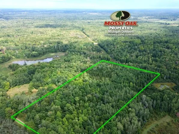 V/l 50th Ave, Marion, MI 49665