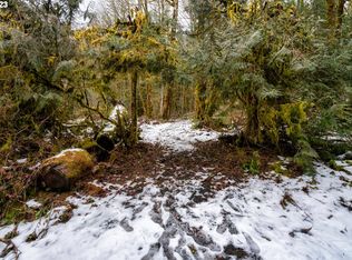 E Henry Creek Rd, Rhododendron, OR 97049