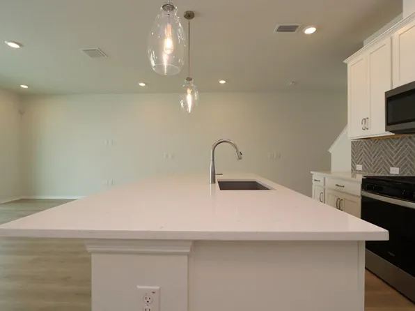 17231 Balance Cv, Land O Lakes, FL 34638