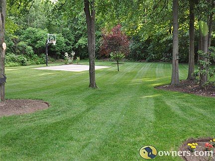 basketball court